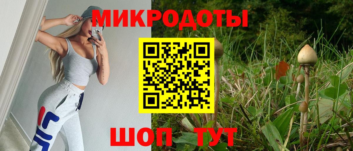 Заинск  Псилоцибиновые грибы MAGIC MUSHROOMS  купить наркотик  Вход с VPN 