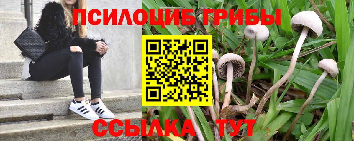 Галлюциногенные грибы мицелий Заинск